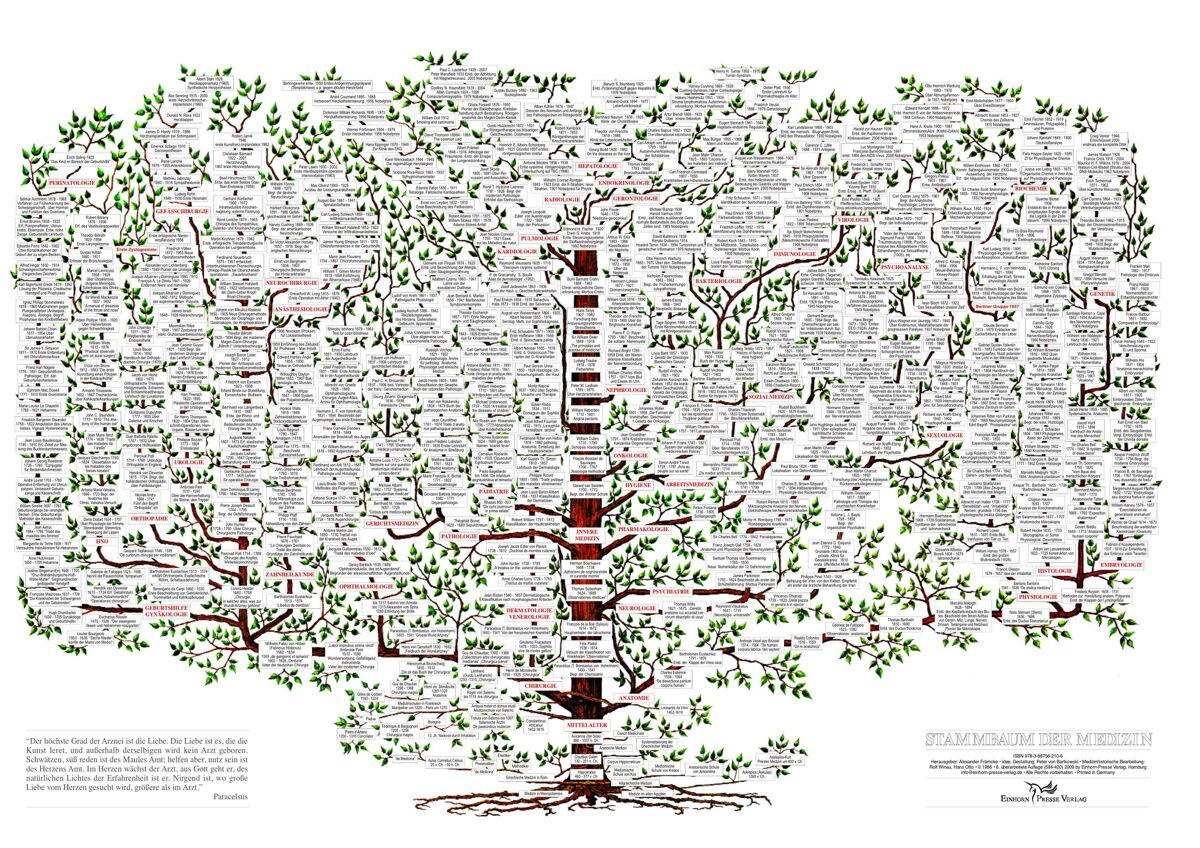 Stammbaum der Medizin (70 x 100 cm) Poster